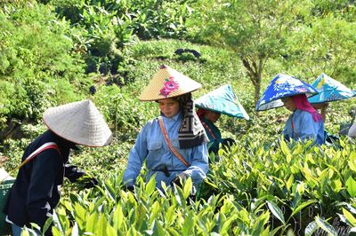 Kiến tạo nông nghiệp xanh, bền vững