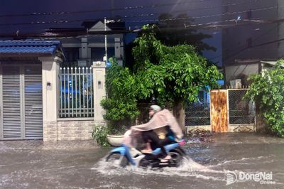 Đề phòng mưa với cường độ lớn gây ngập úng