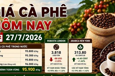 Giá cà phê hôm nay 27/7: Giá nội địa ổn định, sàn thế giới phân hóa