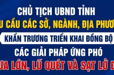 Chủ tịch UBND tỉnh yêu cầu các sở, ngành, địa phương khẩn trương triển khai đồng bộ các giải pháp ứng phó mưa lớn, lũ quét và sạt lở đất