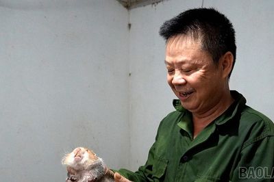 Cựu chiến binh Lương Đức Thuận phát triển kinh tế hiệu quả với mô hình nuôi dúi