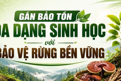 Gắn bảo tồn đa dạng sinh học với bảo vệ rừng bền vững