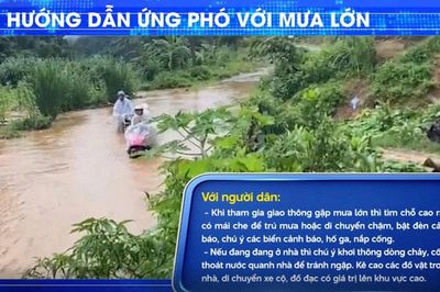 Hướng dẫn ứng phó với mưa lớn