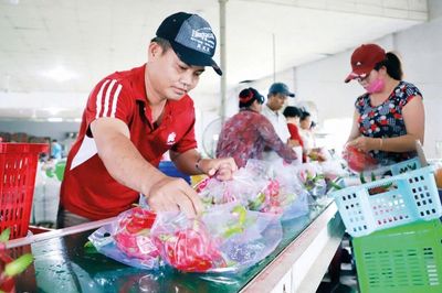 EU gia tăng các biện pháp SPS, doanh nghiệp xuất khẩu cần chủ động thích ứng