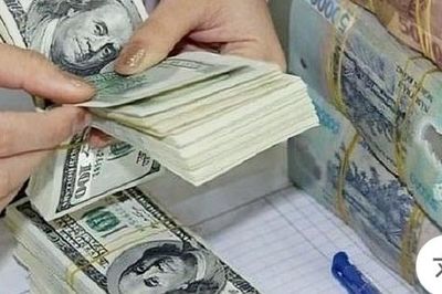 Tỷ giá trên hóa đơn điện tử có bắt buộc là tỷ giá kế toán không?