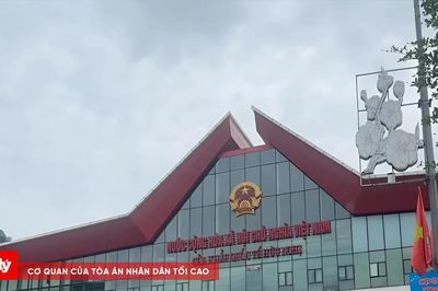 Lạng Sơn: Kim ngạch xuất nhập khẩu cuối tuần qua khởi sắc