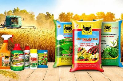 Sức tiêu thụ kém, Phân bón Bình Điền (BFC) báo lãi quý II/2026 giảm mạnh tới 65%