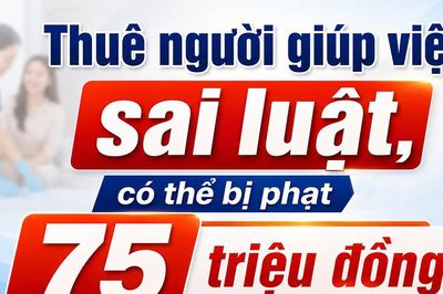 Thuê người giúp việc sai luật có thể bị phạt đến 75 triệu đồng
