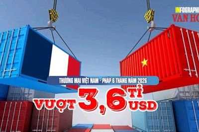 Thương mại Việt Nam - Pháp 6 tháng năm 2026 vượt 3,6 tỉ USD