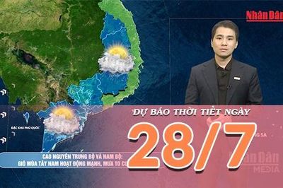 [Video] Dự báo thời tiết ngày 28/7/2026: Mưa gia tăng trên cả nước, tiềm ẩn nguy cơ ngập úng nhiều nơi