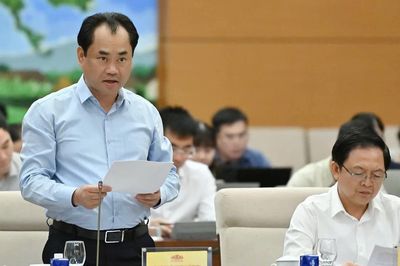 Sửa Luật Đất đai: Khắc phục bằng được tình trạng không sử dụng đất, để đất hoang hóa