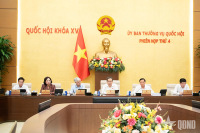 Đô thị đặc biệt được đề xuất trao thẩm quyền rộng hơn về xây dựng thể chế