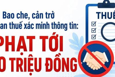 [VIDEO] Từ 21/7: Phạt tới 100 triệu đồng nếu thông đồng cản trở thuế