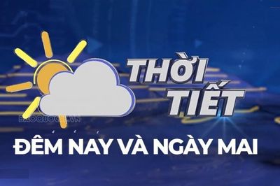 Dự báo thời tiết hôm nay và ngày mai (29/7): Bắc Bộ, Thanh Hóa chiều tối đến sáng mưa vừa, mưa to, cục bộ mưa rất to