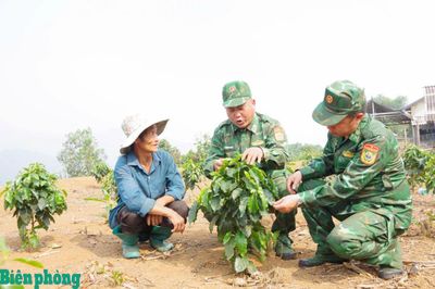 Nông nghiệp xanh-hướng đi tạo đột phá cho Điện Biên