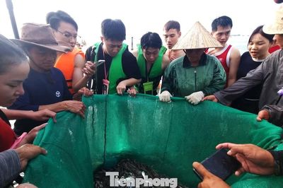 Đà Nẵng: Du khách kéo nhau 'đột nhập' chợ cá lúc rạng sáng