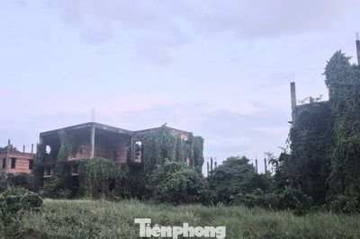 Dự án nghìn tỷ 'đắp chiếu', siêu đô thị thành… vườn sắn