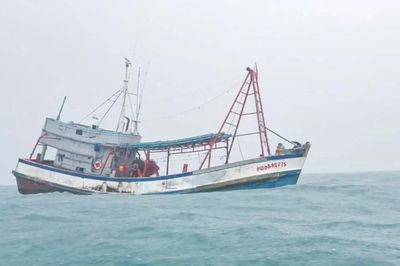 Bắt tàu cá dùng số hiệu giả