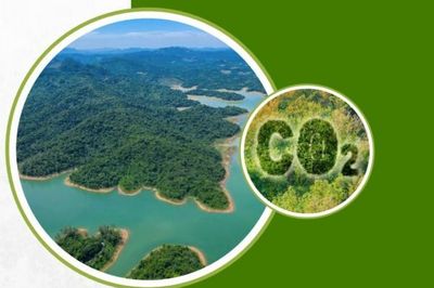 Tin tức kinh tế ngày 28/7: 5 điểm nhấn quan trọng định hình lại thị trường carbon Việt Nam