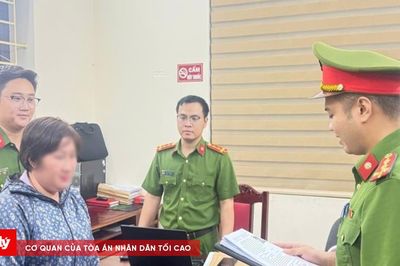 Khởi tố đối tượng sử dụng giấy tờ giả để chiếm đoạt 11 tỷ đồng