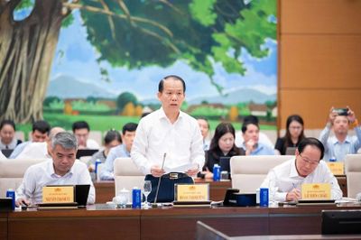 Tạo lập khuôn khổ pháp lý đột phá thúc đẩy phát triển Thành phố Hồ Chí Minh, đô thị đặc biệt