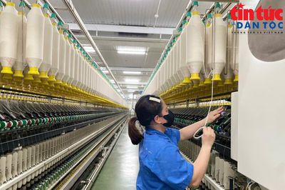 Tăng cường truy xuất nguồn gốc, minh bạch chuỗi cung ứng trước yêu cầu mới của thị trường Hoa Kỳ