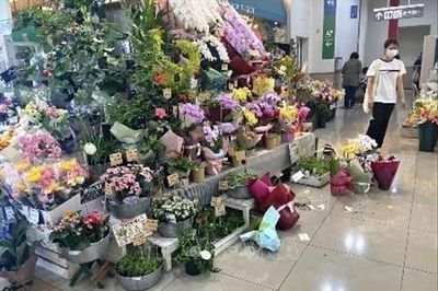 Động đất tại Nhật Bản: Hàng chục nghìn hộ gia đình bị mất điện, dỡ bỏ cảnh báo sóng thần