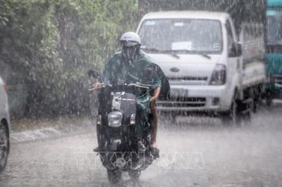 Dự báo thời tiết 28/7/2026: Đợt mưa to trút xuống miền Bắc kéo dài đến khi nào?