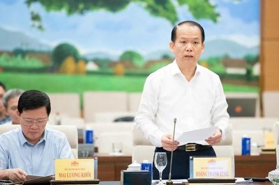 Đề xuất cấm người bỏ cọc tham gia đấu giá đất