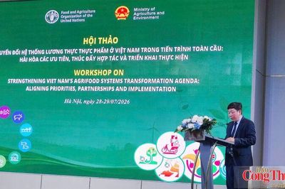 Việt Nam thúc đẩy hệ thống lương thực thực phẩm bền vững