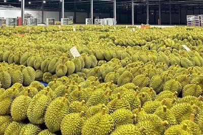Lần đầu tiên xuất khẩu rau quả Việt Nam vượt mốc 1 tỷ USD/tháng