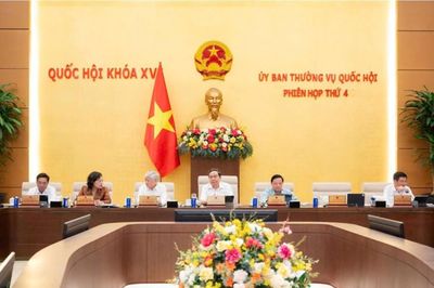 Xem xét cơ chế đặc thù cho khu đô thị lấn biển Đà Nẵng