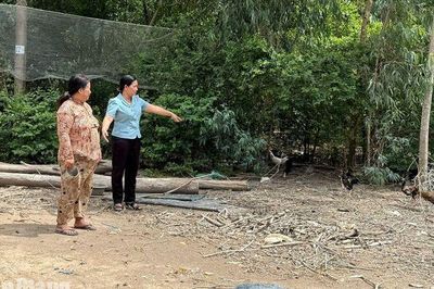 Những điểm tựa an sinh ở Hòa Điền