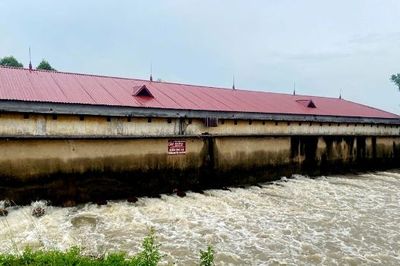 Bắc Ninh khẩn trương bơm tiêu úng bảo vệ lúa và hoa màu