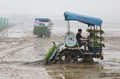 Bắc Ninh: Nghiệm thu 7 mô hình thử nghiệm, khảo nghiệm giống cây trồng, vật nuôi
