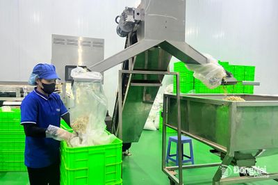 Nâng cao năng suất, chất lượng và đổi mới sáng tạo