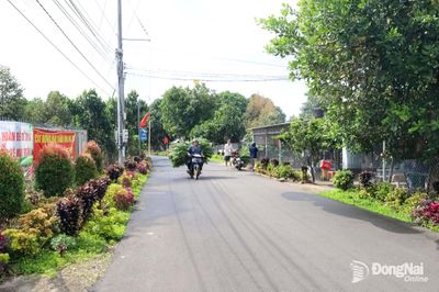 Phú Vinh nỗ lực xây dựng nông thôn mới