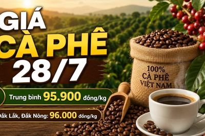 Giá cà phê hôm nay 28/7 neo ở mức 95.900 đồng/kg