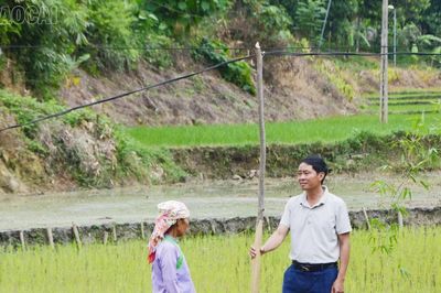 Hơn 20 năm kéo điện bằng cột tre, người dân phường Lào Cai mong có cột điện kiên cố