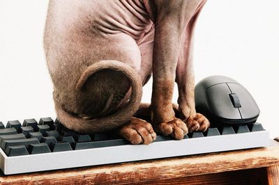 Wallhack ra mắt bàn phím K-001 và chuột M-001: Switch từ tính độc đáo cùng vỏ magie siêu nhẹ