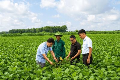 Nam Dong hướng đến nền nông nghiệp an toàn, nâng cao giá trị nông sản