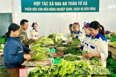 Liên kết vùng- tăng hiệu quả tiêu thụ nông sản
