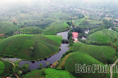 Long Cốc: Giấc mơ 'hóa rồng' đang thành hiện thực