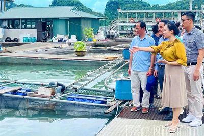 Nhân rộng mô hình kinh tế tuần hoàn