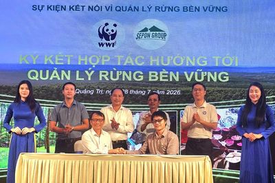 Thúc đẩy hợp tác quản lý rừng bền vững tại khu vực Trung Trường Sơn