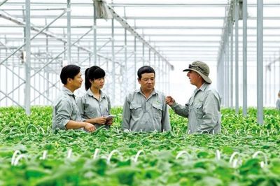 Quy định mới về đăng ký tổ hợp tác, hợp tác xã, liên hiệp hợp tác xã