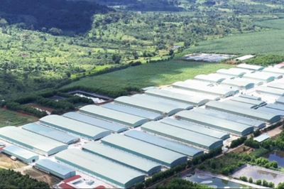 Lợi nhuận của Hoàng Anh Gia Lai tăng vọt, vượt 2.290 tỷ đồng sau 6 tháng