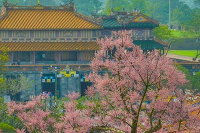 Huế đề nghị được triển khai mô hình 'Thành phố Nhiếp ảnh Việt Nam'