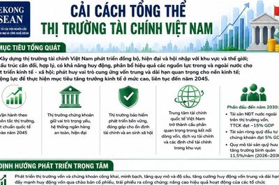 Chính phủ phê duyệt Đề án cải cách tổng thể thị trường tài chính