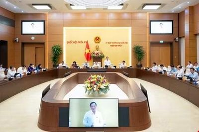 Tạo động lực phát triển cho TP Hồ Chí Minh và các đô thị đặc biệt